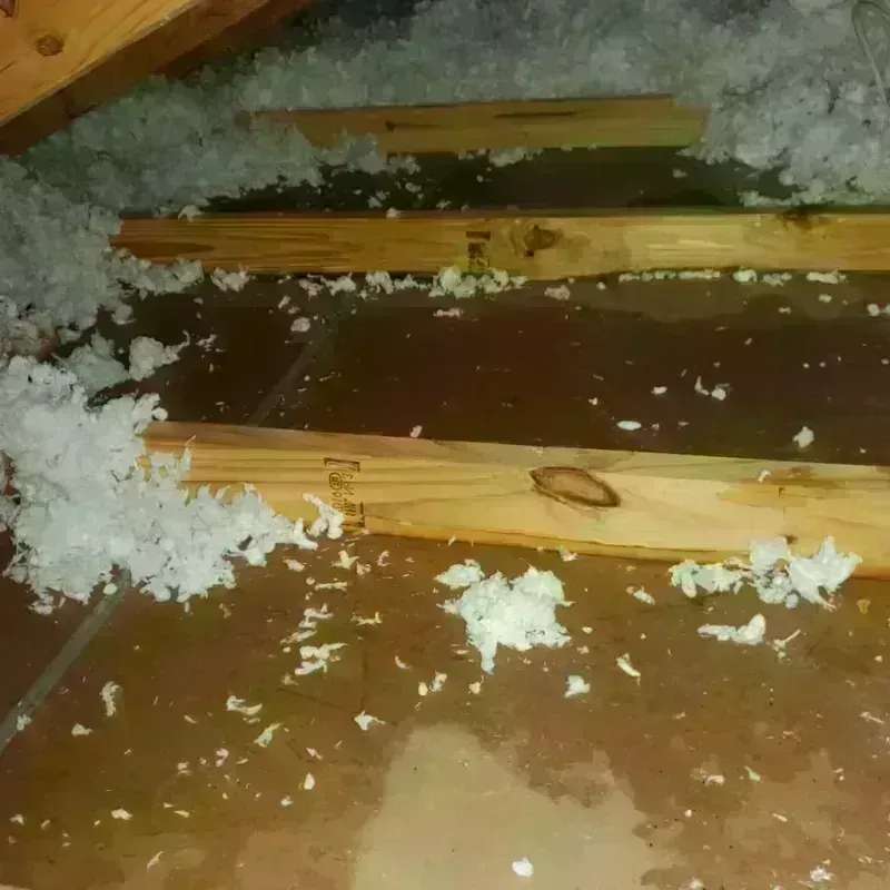 Attic Water Damage in Bellville, TX