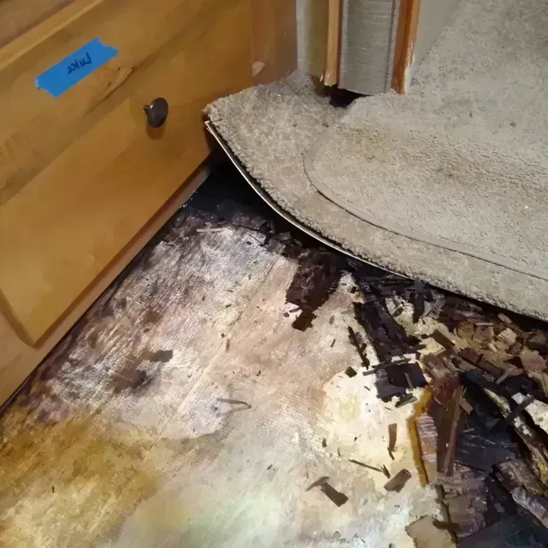 Wood Floor Water Damage in Bellville, TX